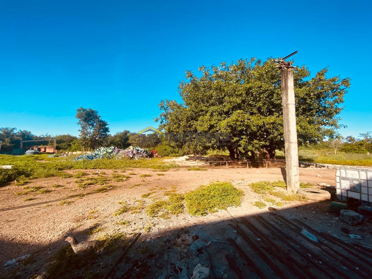 Depósito-Galpão-Armazém para alugar, 1000m² - Foto 10